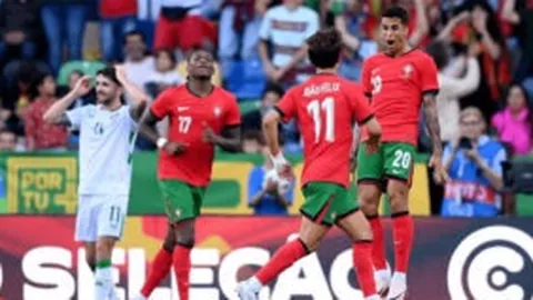 “莞台垒球赛火热对决 两岸精英争冠巅峰”