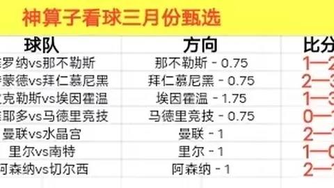英博赛事夜遇大雪，清晨球场启动除雪作业