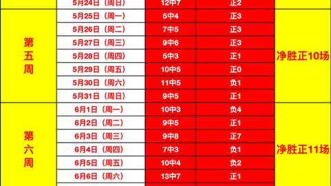 女王流浪者赛事深度解析：友谊赛亮点全收录