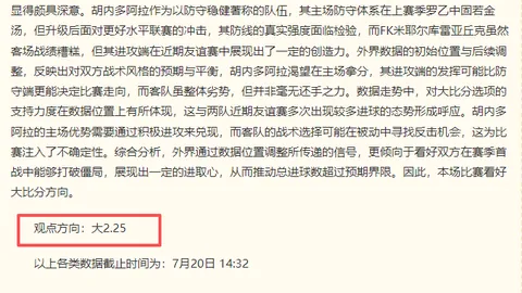 芬超焦点战：埃尔维斯与拉赫蒂对决，谁将胜出